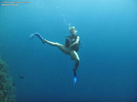 Sexy diver