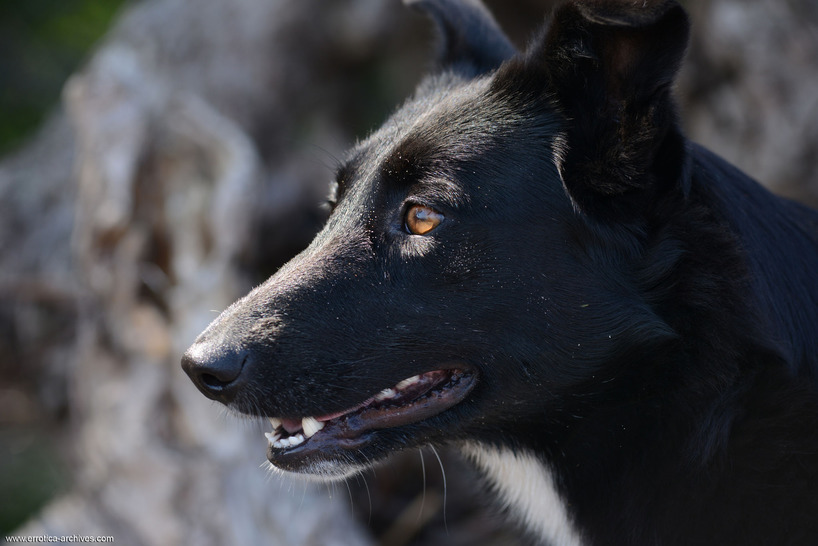Irinushka Wild Life 20