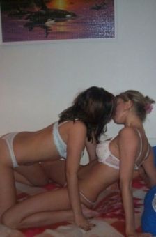 Cat wearing a zebra bikini