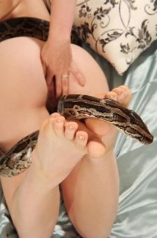 Snake on bed