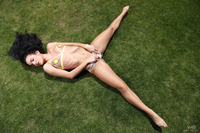 Relax In The Grass With Sapphira